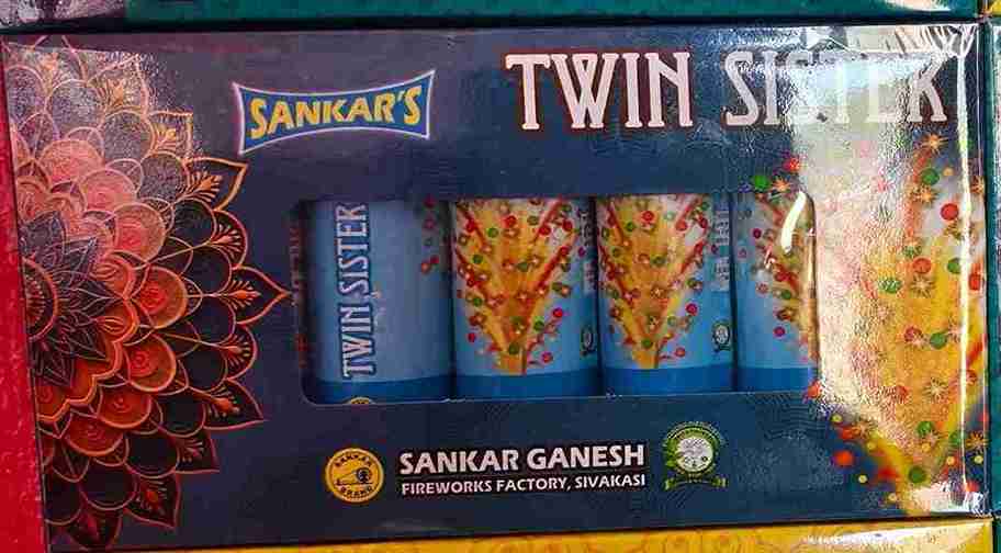 TWIN SISTER